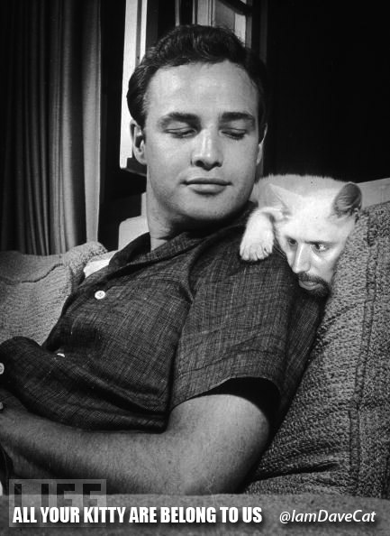 Marlon Brando ALL YOUR KITTY ARE BELONG TO US So it begins